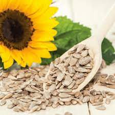 Sweet Sunflower Seeds