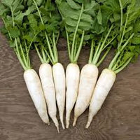 Miyashige – Radish Seed