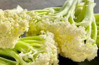 Song TJS-65 – Cauliflower Seed