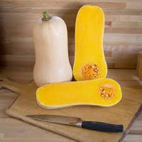 JWS 6823 PMR – Organic Butternut Squash Seed