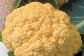 Cauliflower Cheddar Hybrid
