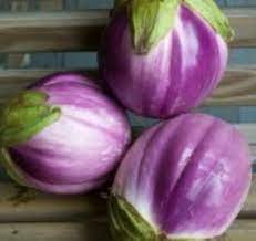 Eggplant- Rosa Bianca