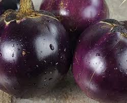 Eggplant- Thai Purple Ball