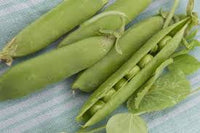 Maxigolt – Pea Seed