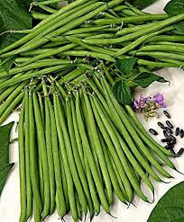 France Beans Hybrid  Vegetable Seeds