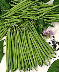 France Beans Hybrid  Vegetable Seeds