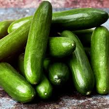 Katrina – Cucumber Seed