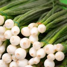 Bunching Onion- Evergreen Bunching