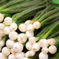 Bunching Onion- Evergreen Bunching