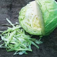 Cabbage- Mini