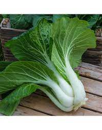 Pak Choy Vegetable Seeds