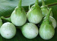 Eggplant- Thai Round Green