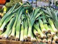 Leek American Flag Vegetable Seeds