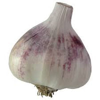 Inchelium Red – Garlic s