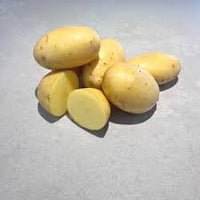 Natascha – Seed Potatoes