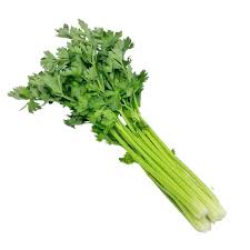 Celery- Chinese