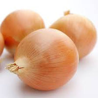 Cortland – Organic Onion Seed