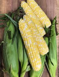 Delectable – Treated Corn Seed