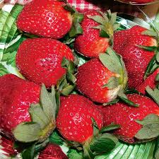 Honeoye – Strawberry Plants Seed