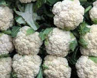 Cauliflower- Selection 174