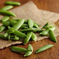 Sugar Snap – Pea Seed