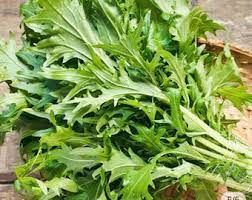 Chinese Mustard- Lime Streaks