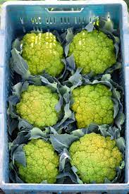 Cauliflower Green Verde Vegetable Seeds