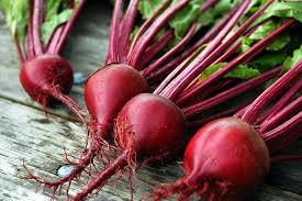 Red Ace – Beet Seed
