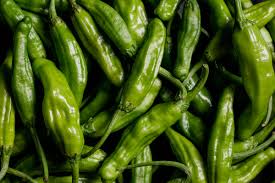 Shishimai – Shishito Pepper Seed