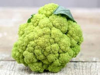 Cauliflower- Macerata Green