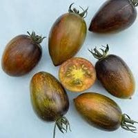 Magic Bullet – Organic Tomato Seed