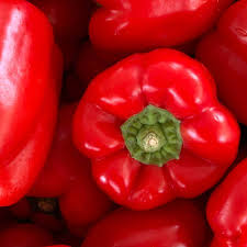 Sailfish – Bell Pepper Seed