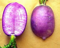 KN-Bravo – Purple Daikon Radish Seeds