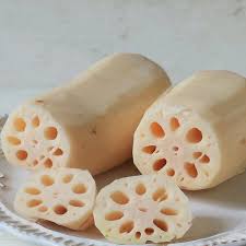 Lotus Root Seeds Chinese Vegetable Lotus Root Seeds Aquatic Plan