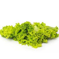 Lettuce- Australian Yellow Leaf
