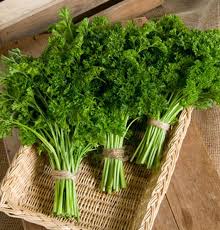 Parsley Forest Green  Vegetable Seeds