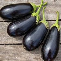 Gaudi – Organic Eggplant Seed
