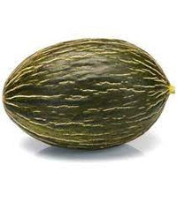 Melon Piel De Sapo Seeds for Planting - Heirloom and Non-GMO Garden Seeds