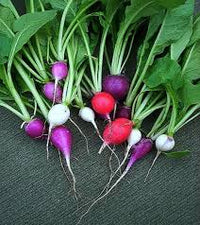 Rainbow Radish Seeds for Planting - 100 pcs