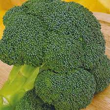Eastern Magic – Broccoli Seed