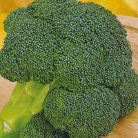 Eastern Magic – Broccoli Seed