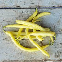 Goldilocks – Bean Seed