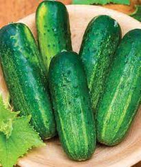 Nokya – Cucumber Seed