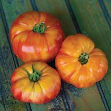 Big Rainbow Bi-Color Tomato Seeds for Planting – Heirloom & Non-GMO Seeds