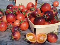 Strawberry Fields – Organic Tomato Seed