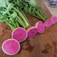Red Meat – Watermelon Radish Seeds