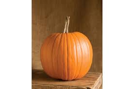 Rival PMR – Pumpkin Seed