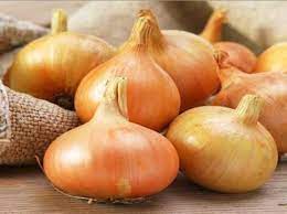 Powell – Organic Onion Seed