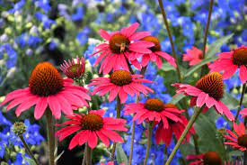 Summertime Illusion Mix