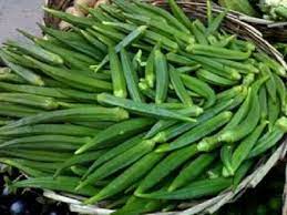Okra Pusa Sawni Vegetable Seeds